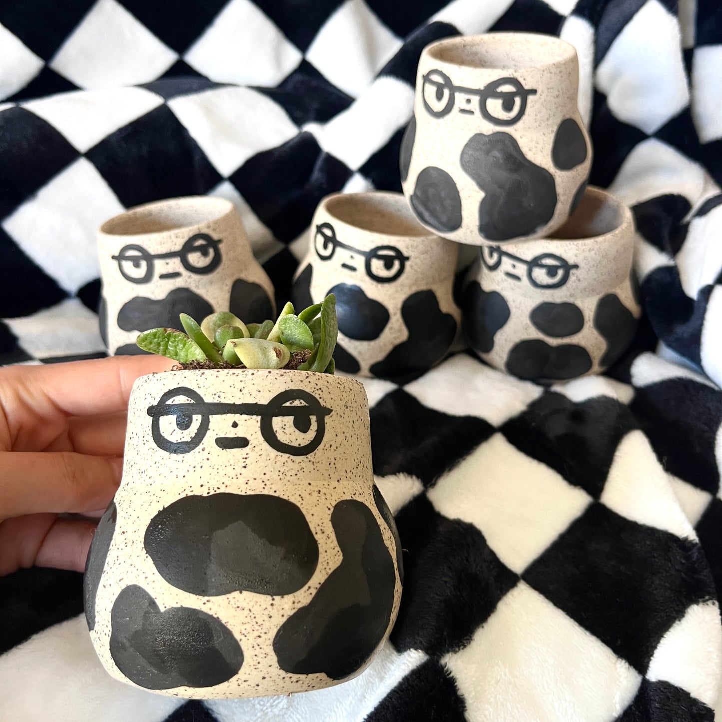 Side Eye Little Forest Planter