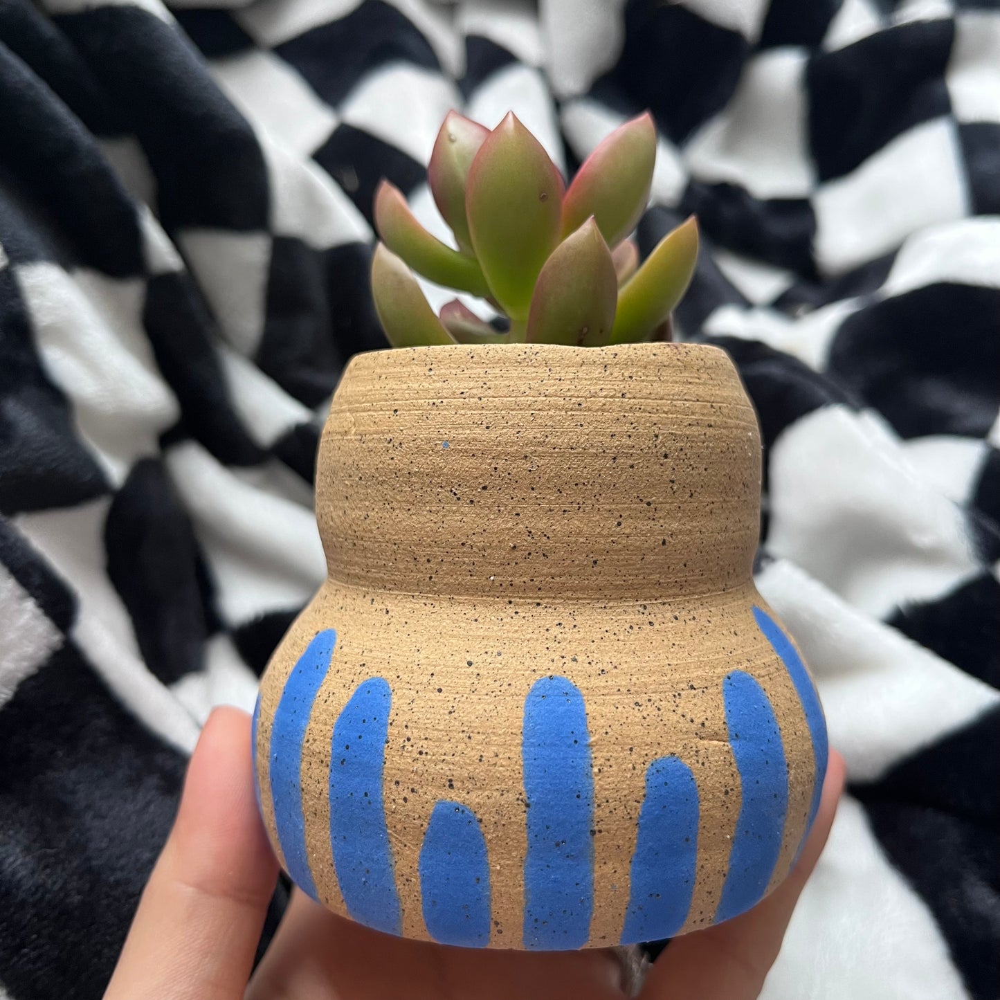 Meh Little Forest Planter