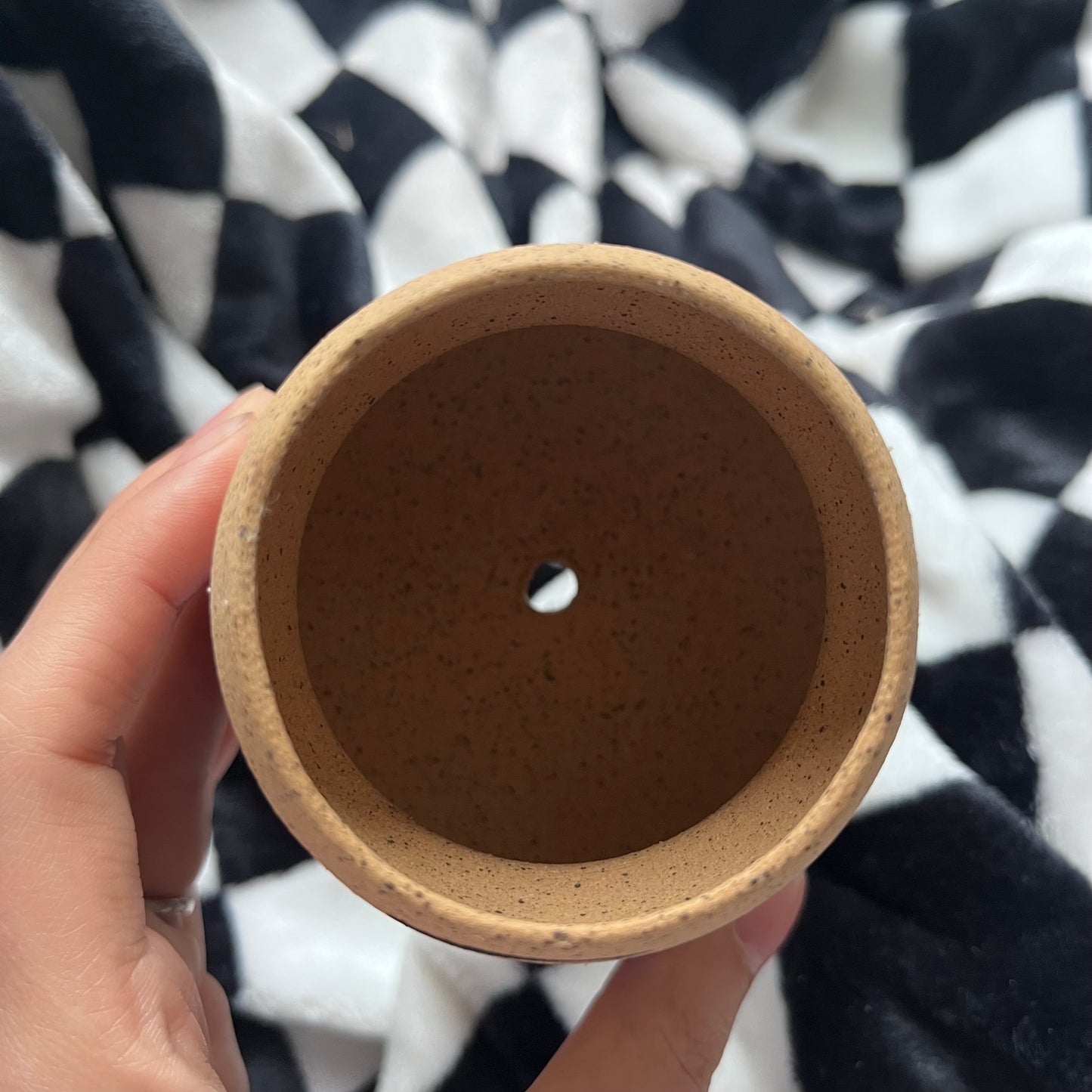 Meh Little Forest Planter