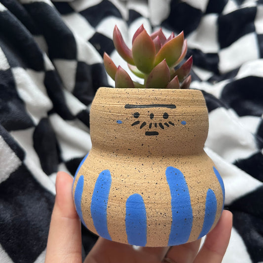 Meh Little Forest Planter