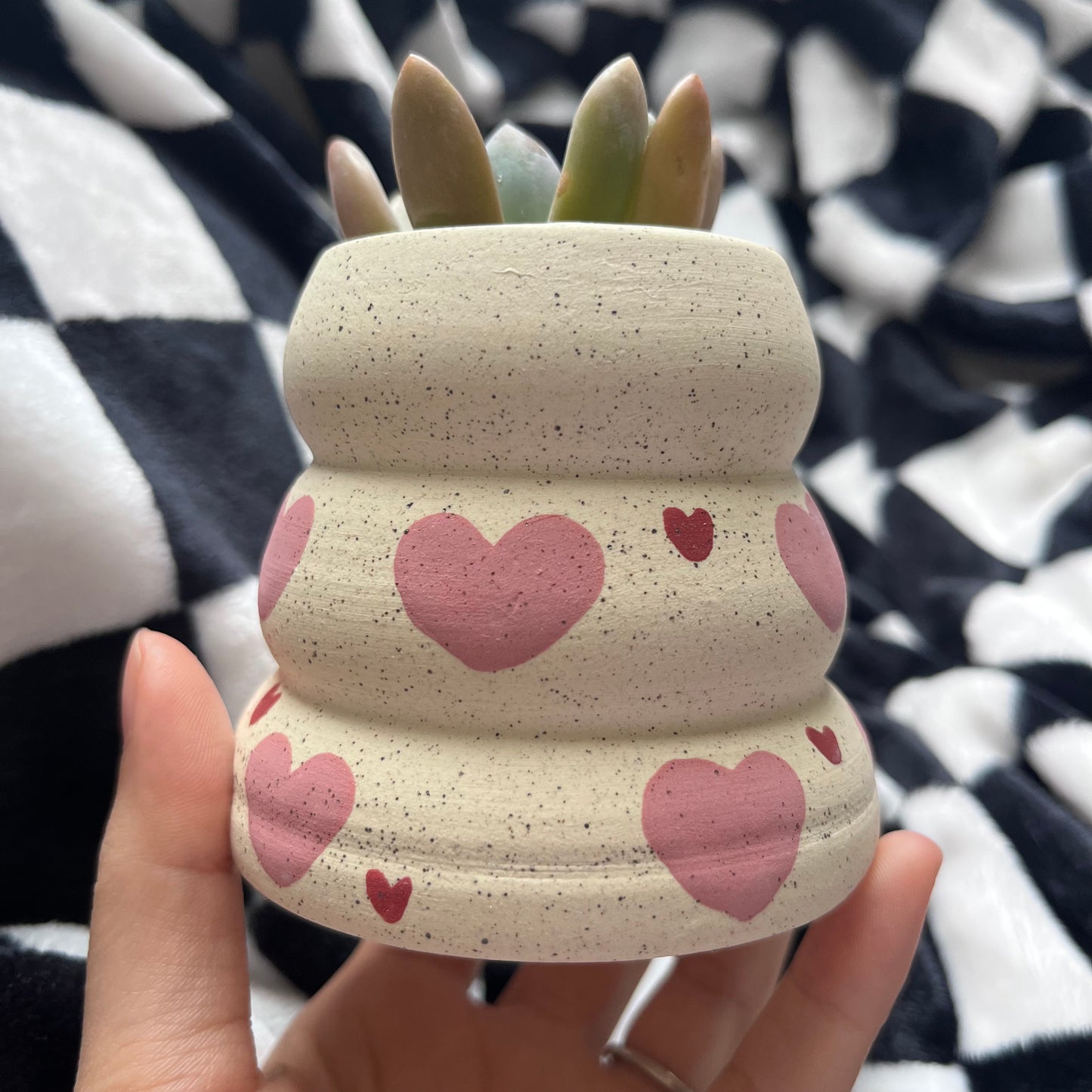 Hearts Little Forest Planter